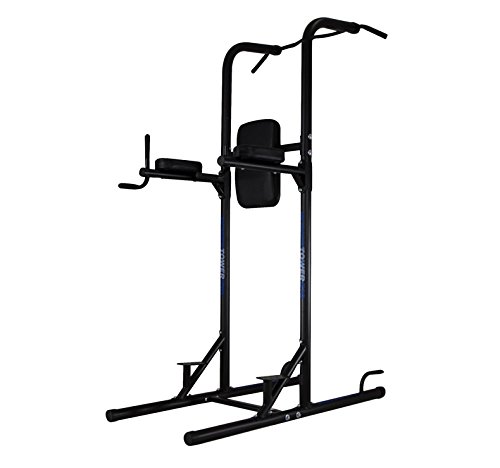 ION Fitness Power Tower...