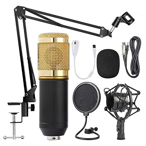 Microphone BM 800 Micro...