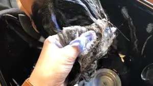 shampoings bleus